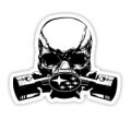 Uporabniški avatar